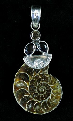 Ammonite Fossil Pendant - Sterling Silver #21028